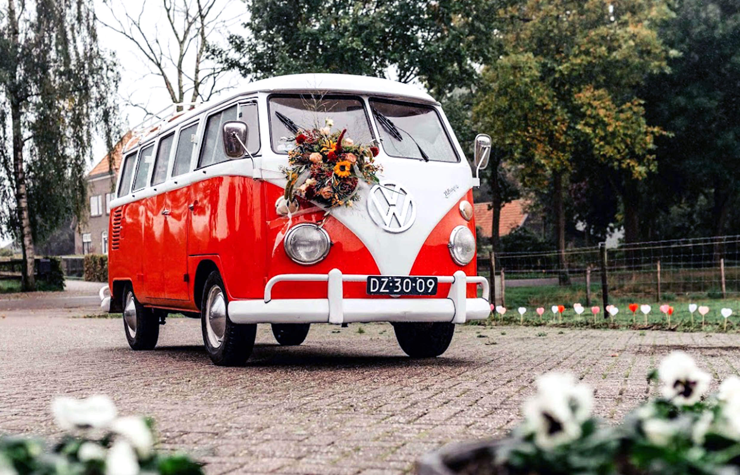 @Willeke Terlouw Fotografie